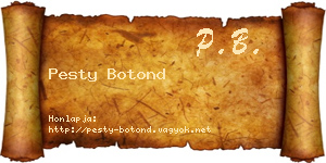 Pesty Botond névjegykártya